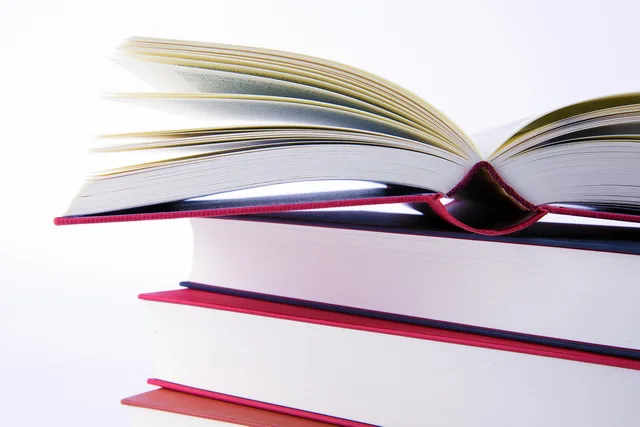 books, literature, knowledge, education, stacked, school, reading, library, paper, study, page, read, text, learn, textbook, research, book stack. Testing a multilingual benchmark protocol on synthetic records