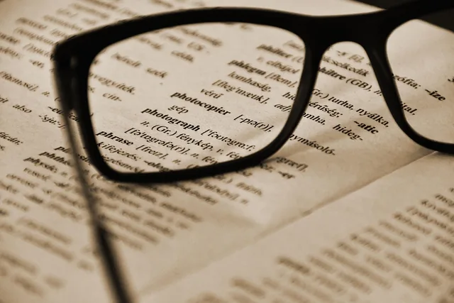 education, photo, language learning, glasses, read, english, hungarian, dictionary, research, school, study, book, attention, paper, diary, notes, notebook, to learn, note, text, language learning, dictionary, dictionary, dictionary, dictionary, dictionary. What public records can prove about multilingual social providers