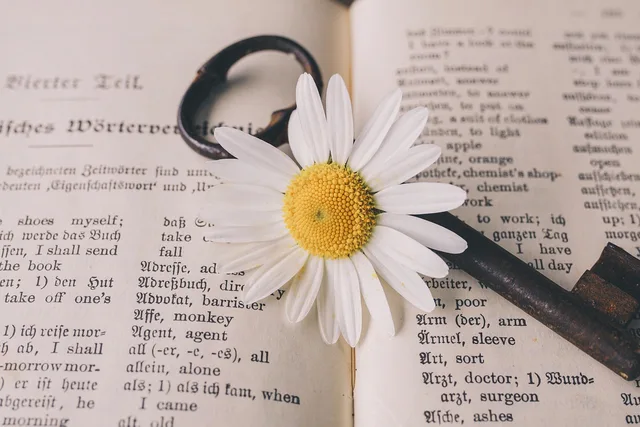 key, old, flower, nostalgic, flower wallpaper, beautiful flowers, vintage, flower background, marguerite, blossom, bloom, rust, metal, antique, dictionary, german-english, translation, nature, words, a book. The multilingual marketing costs that rarely make it onto the first quote