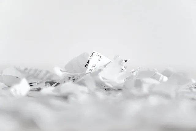 paper, shredder, flakes, recycling, cut, shredded paper, shredding, paper strip, shredded, disposal, document shredder, privacy policy, waste paper, crushed, paper industry, garbage, paper, paper, paper, paper, paper, privacy policy, privacy policy. Defining a multilingual social marketing audience in England: Census 2021 language figures and UK GDPR consent